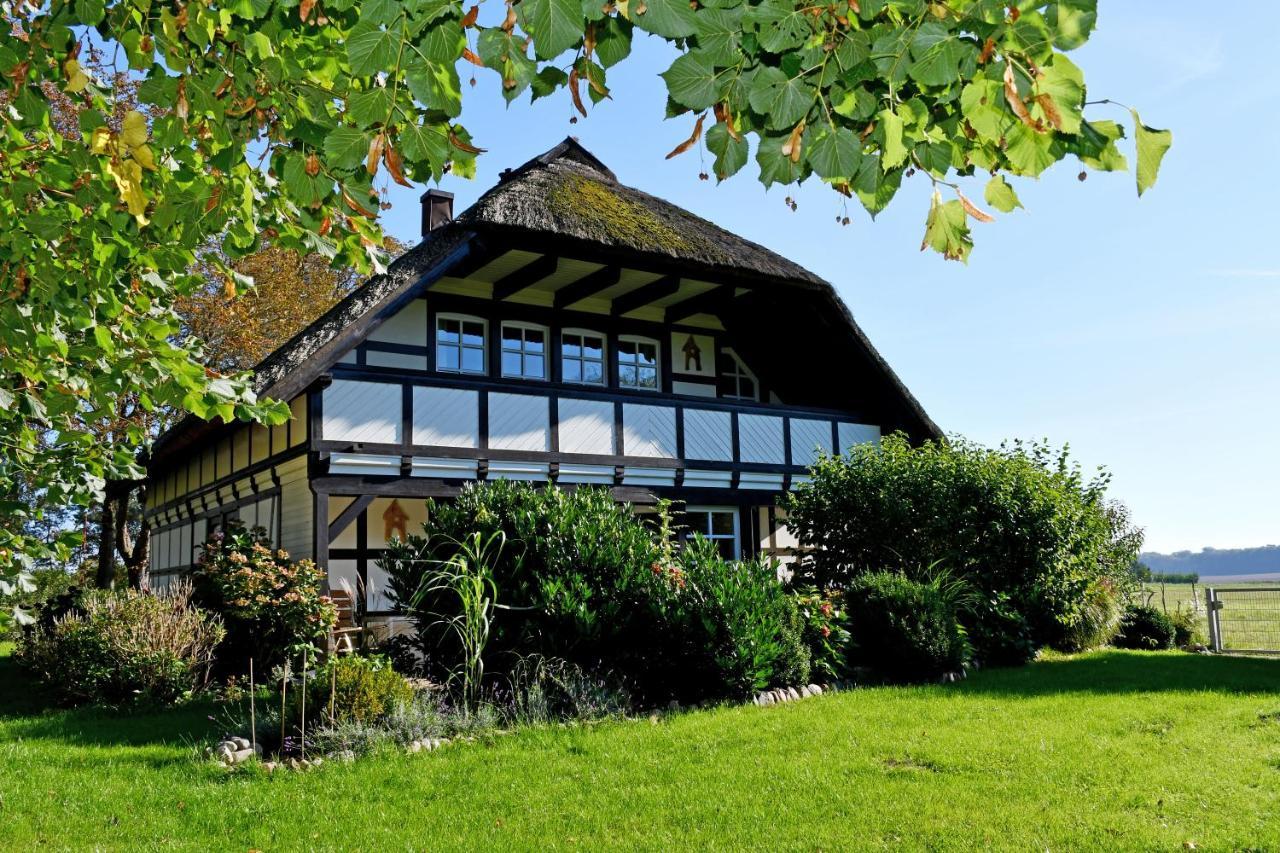 Reetdachfachwerkvilla Am Wiesengrund Bergen Auf Rugen Esterno foto