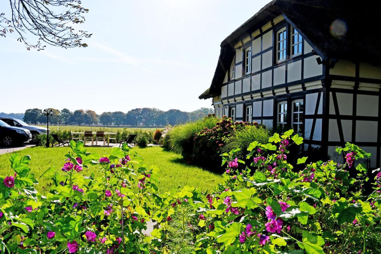 Reetdachfachwerkvilla Am Wiesengrund Bergen Auf Rugen Esterno foto